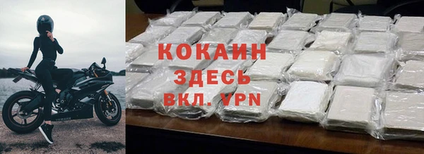 молекула духа Алексин