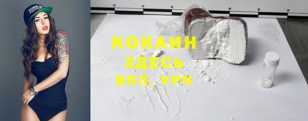 молекула духа Алексин