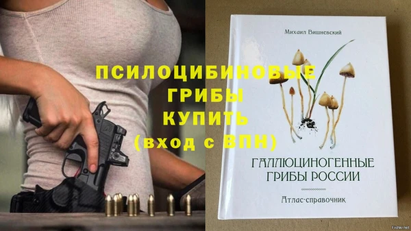 молекула духа Алексин