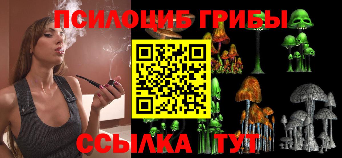 Псилоцибиновые грибы Cubensis Салават